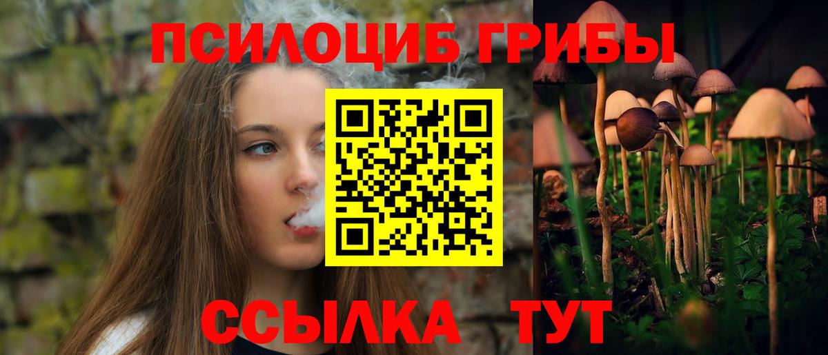 Вышний Волочёк  Галлюциногенные грибы ЛСД  Галлюциногенные грибы Cubensis  купить наркотик  Вход с VPN 